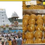 ‘Muestras altamente adulteradas, vamos a…’: Tirupati Temple Trust emite la primera declaración sobre la disputa de Laddoo