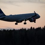 Avión con destino a España se ve obligado a aterrizar por un ratón en la comida de un pasajero