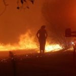 Vídeo: El jefe del batallón de Cal Fire rescata a una mujer que caminaba cerca de las llamas del incendio del aeropuerto