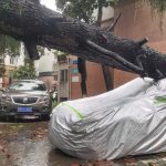 Segundo tifón azota Shanghái días después de histórica tormenta